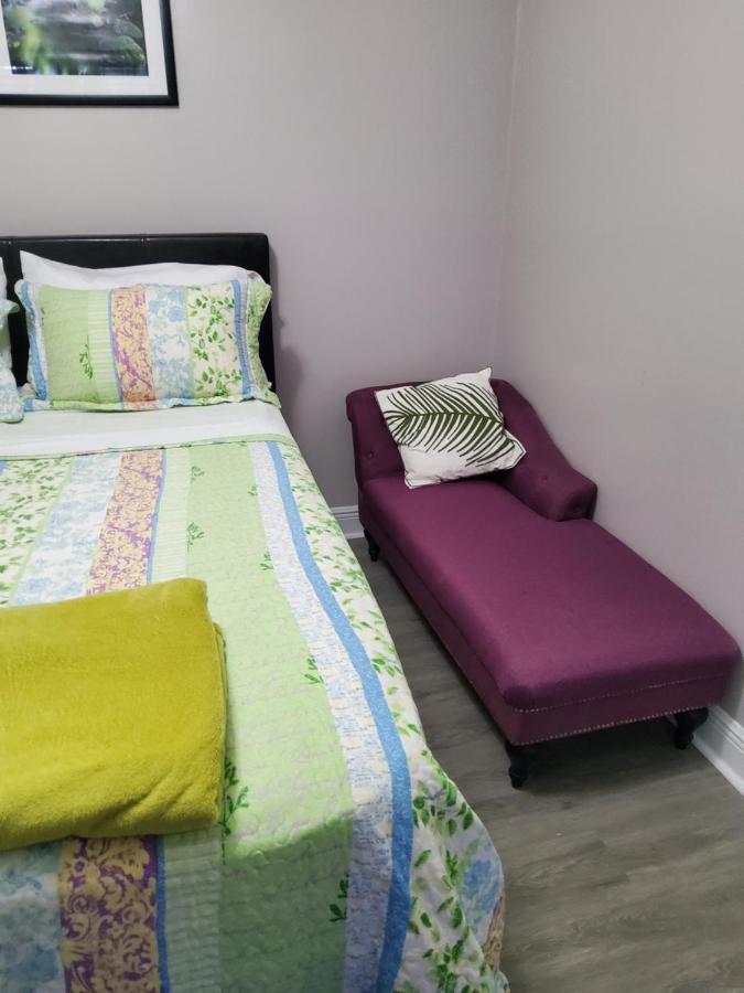 Beautiful Apartment Close To Everything Тампа Екстер'єр фото