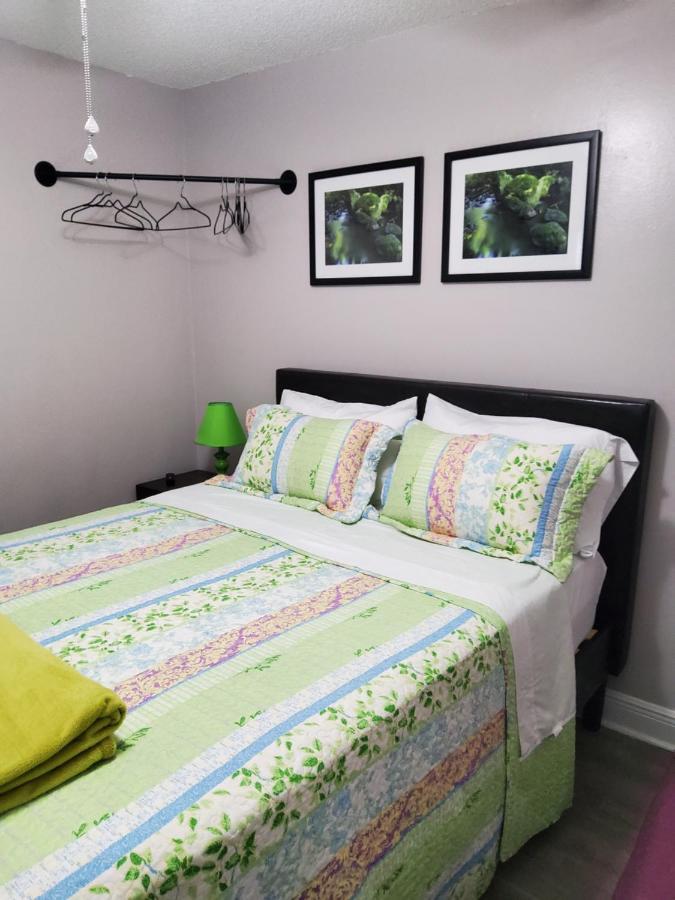 Beautiful Apartment Close To Everything Тампа Екстер'єр фото